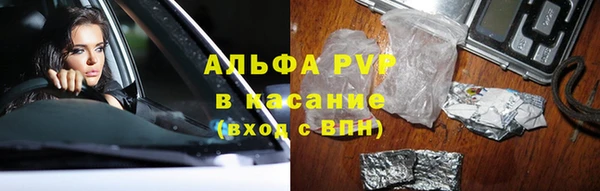 стафф Сафоново
